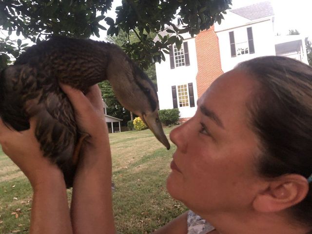 Lisa A. Craig with Charlie, nose to bill